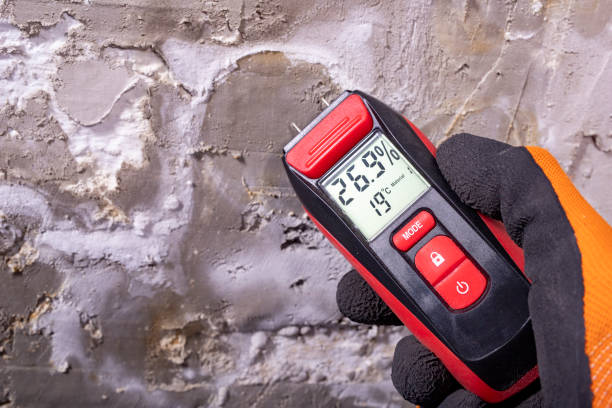 Best Post-Flood Mold Remediation in Silver Spring, MD